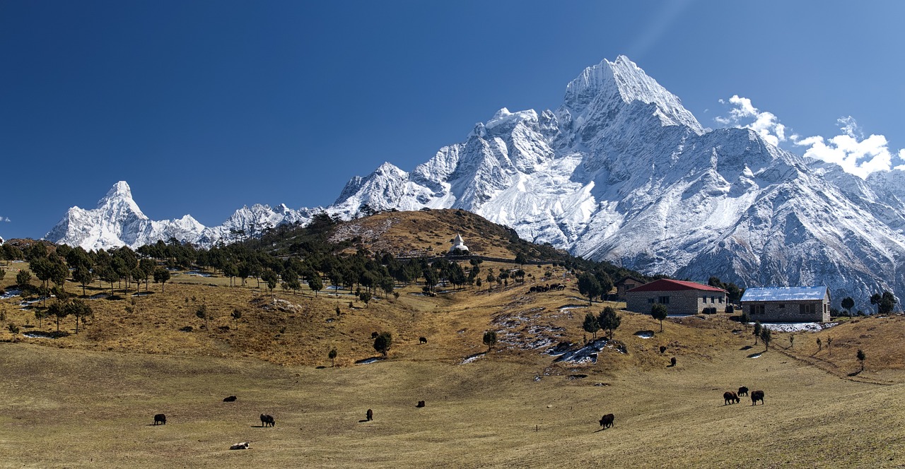 Nepal Himalaya view